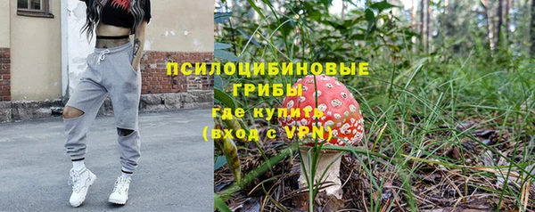 твердый Абаза